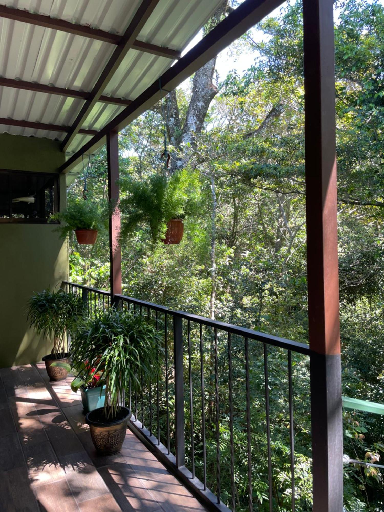 Cabanas La Montana Monteverde Kültér fotó