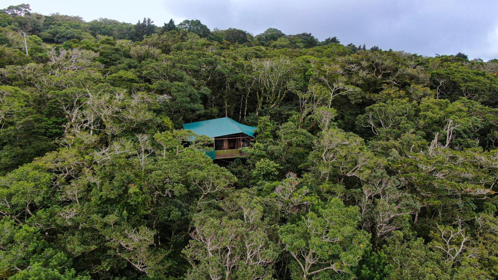 Cabanas La Montana Monteverde Kültér fotó