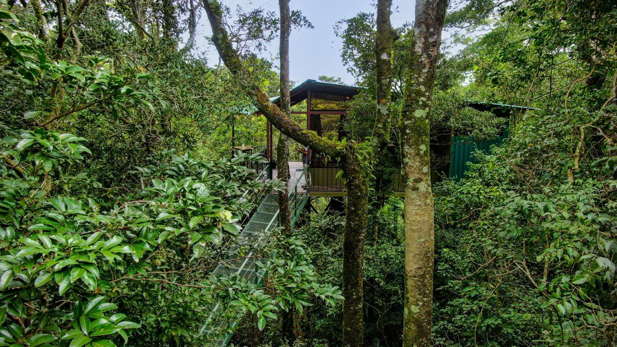 Cabanas La Montana Monteverde Kültér fotó