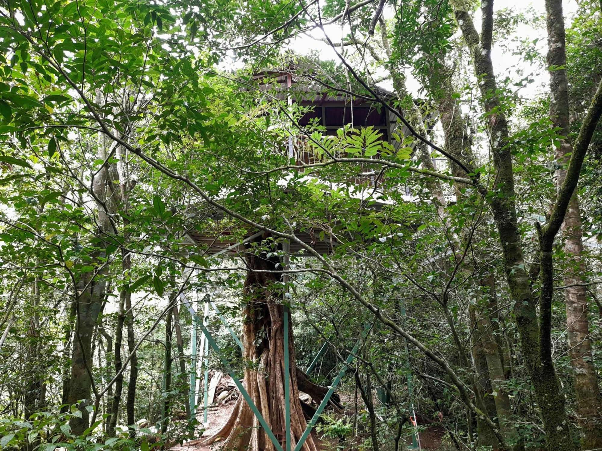 Cabanas La Montana Monteverde Kültér fotó