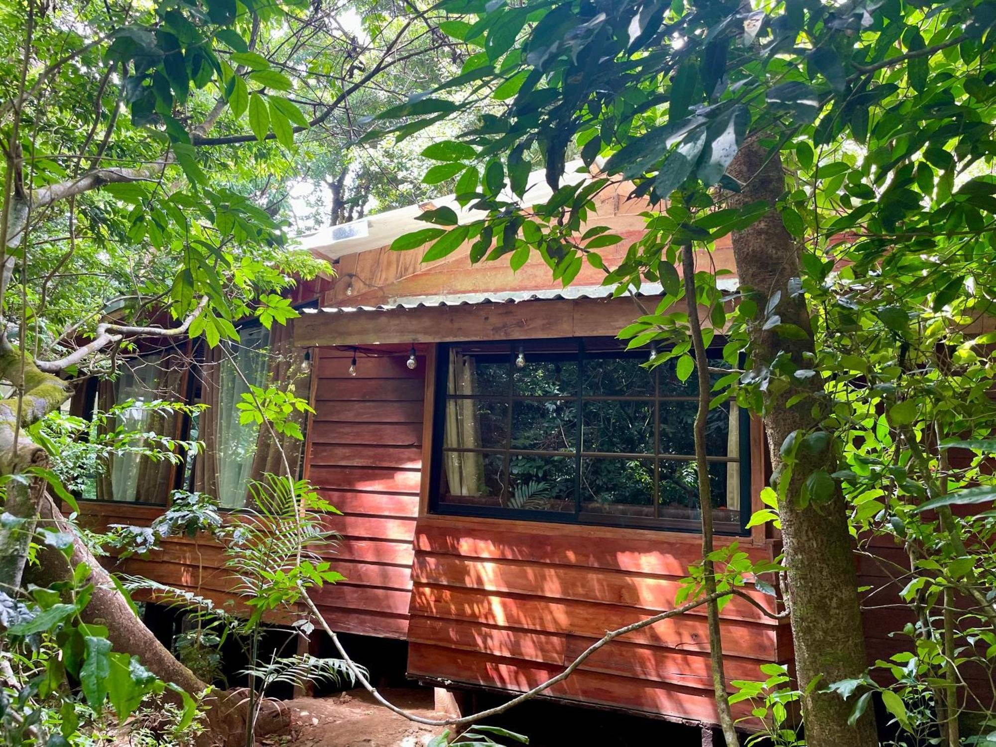 Cabanas La Montana Monteverde Kültér fotó