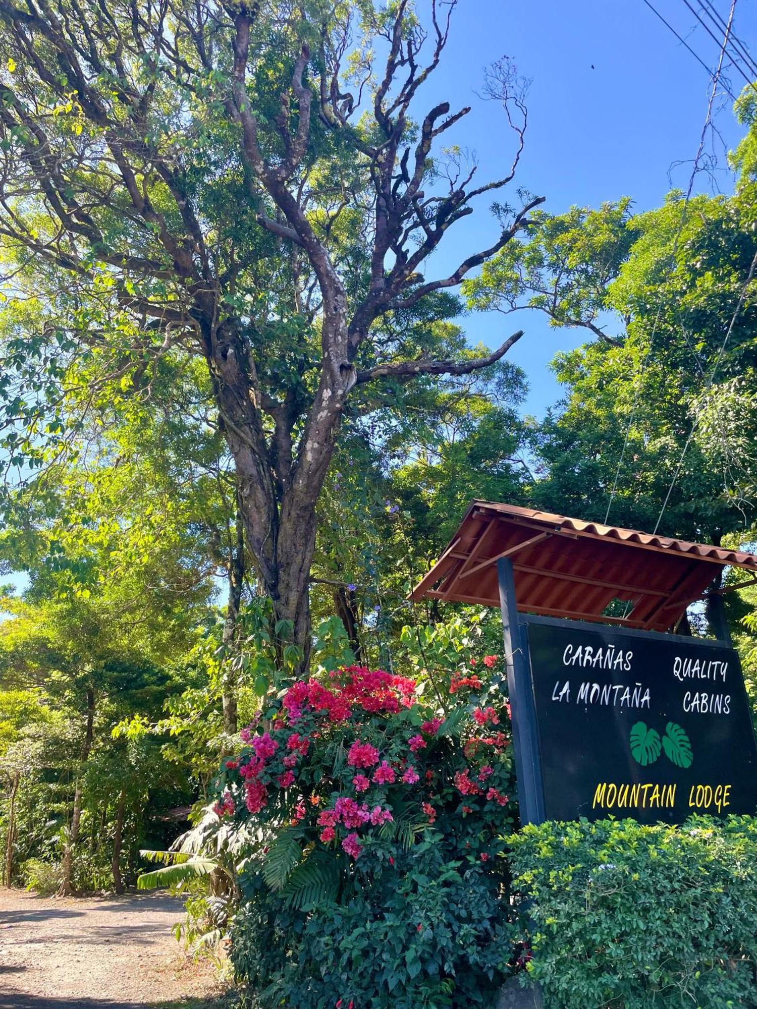Cabanas La Montana Monteverde Kültér fotó